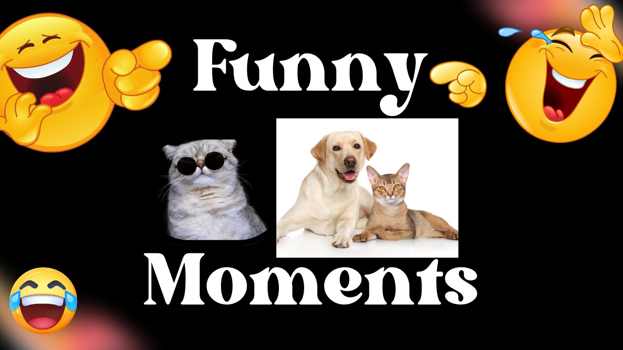 "Funny Pets Compilation 2024: Hilarious Cats, Dogs, and More!"