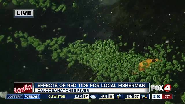 Effects of algal blooms on local fisherman