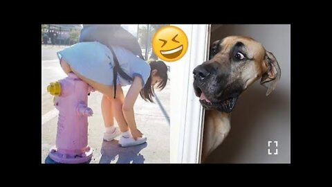 Best Funny animals🐾😂 - Funniest Cats and dogs videos 🐶😍