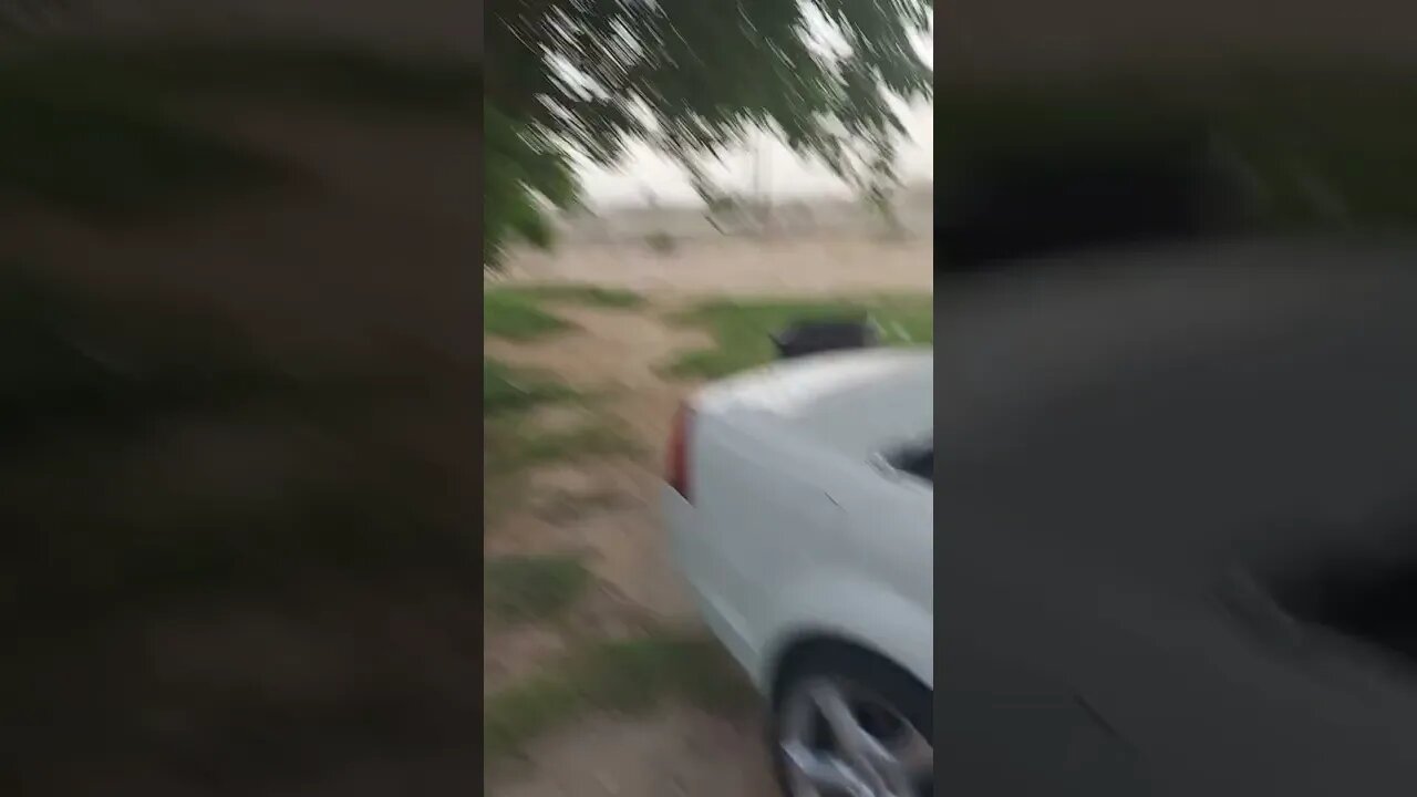 A Storm Cometh and a Dog Barketh