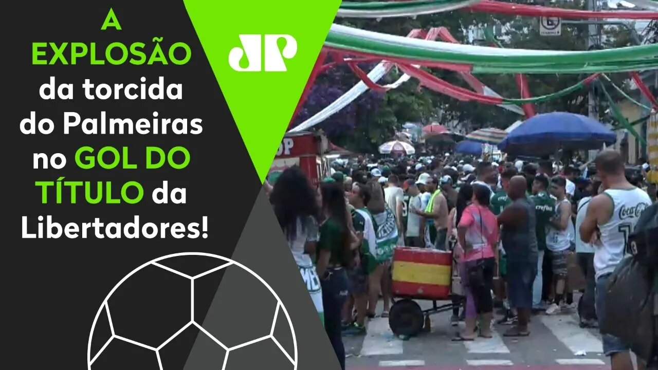 OLHA a EXPLOSÃO da torcida do Palmeiras no GOL de BRENO LOPES contra o Santos!