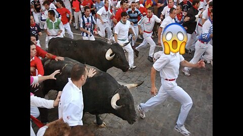 Extreme bull attack compilation 2022