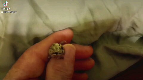 FROGS LIKE ME