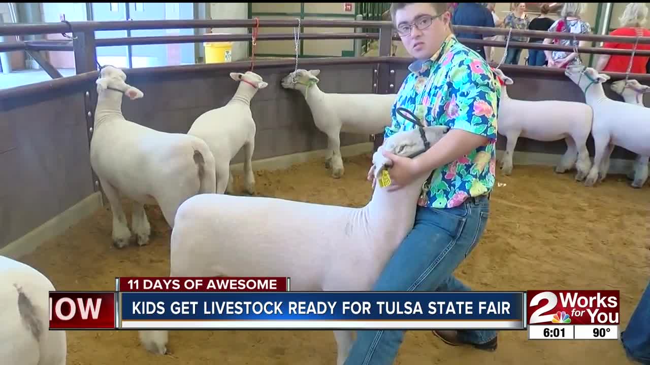Kids get livestock ready for Tulsa State Fair