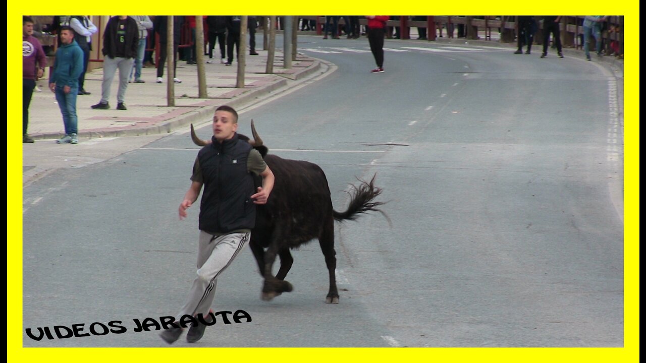 VALTIERRA ( NAVARRA ) TARDE 2ª HORA VACAS CALLE ( DOMINGO 24 ABRIL 2022 ) GNAD.SANTOS ZAPATERIA