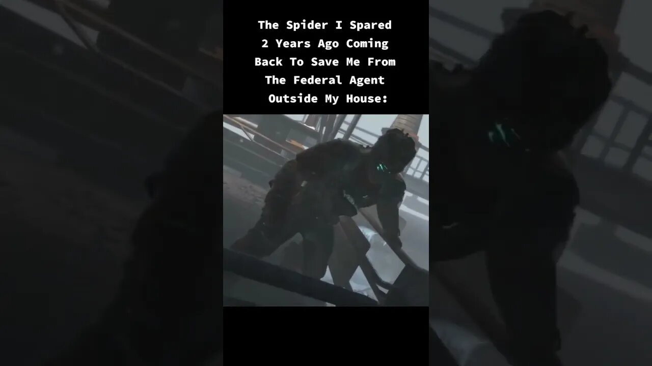W House Spider 🗿 #shorts #memes