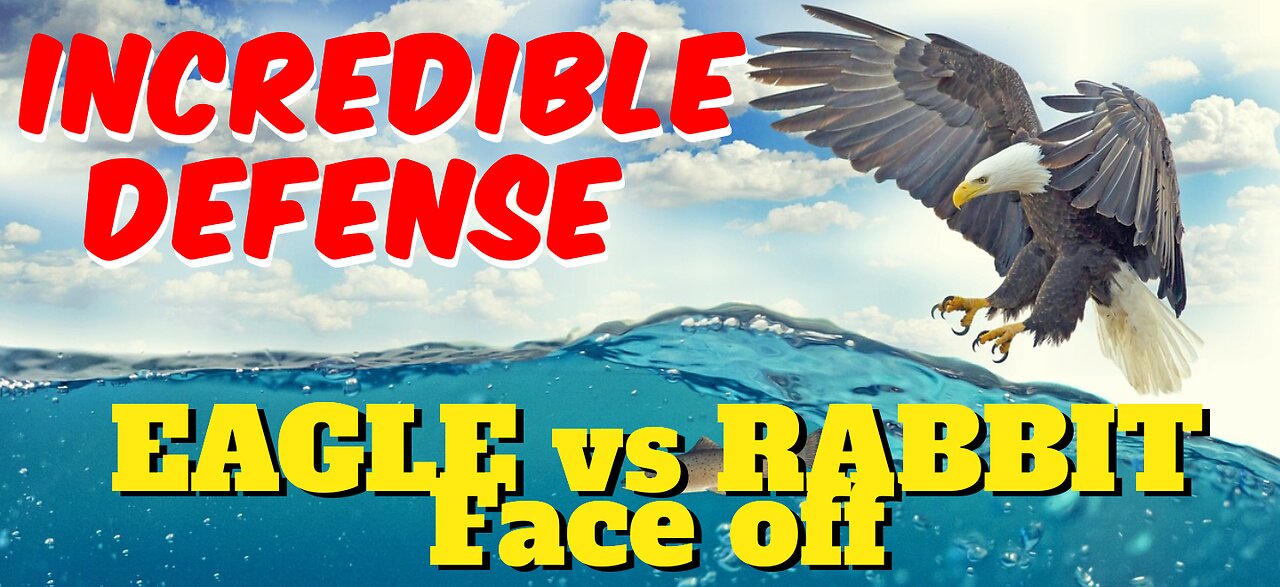 Incredible Defense: Rebbit's Brave Stand Against an Eagle Attack!