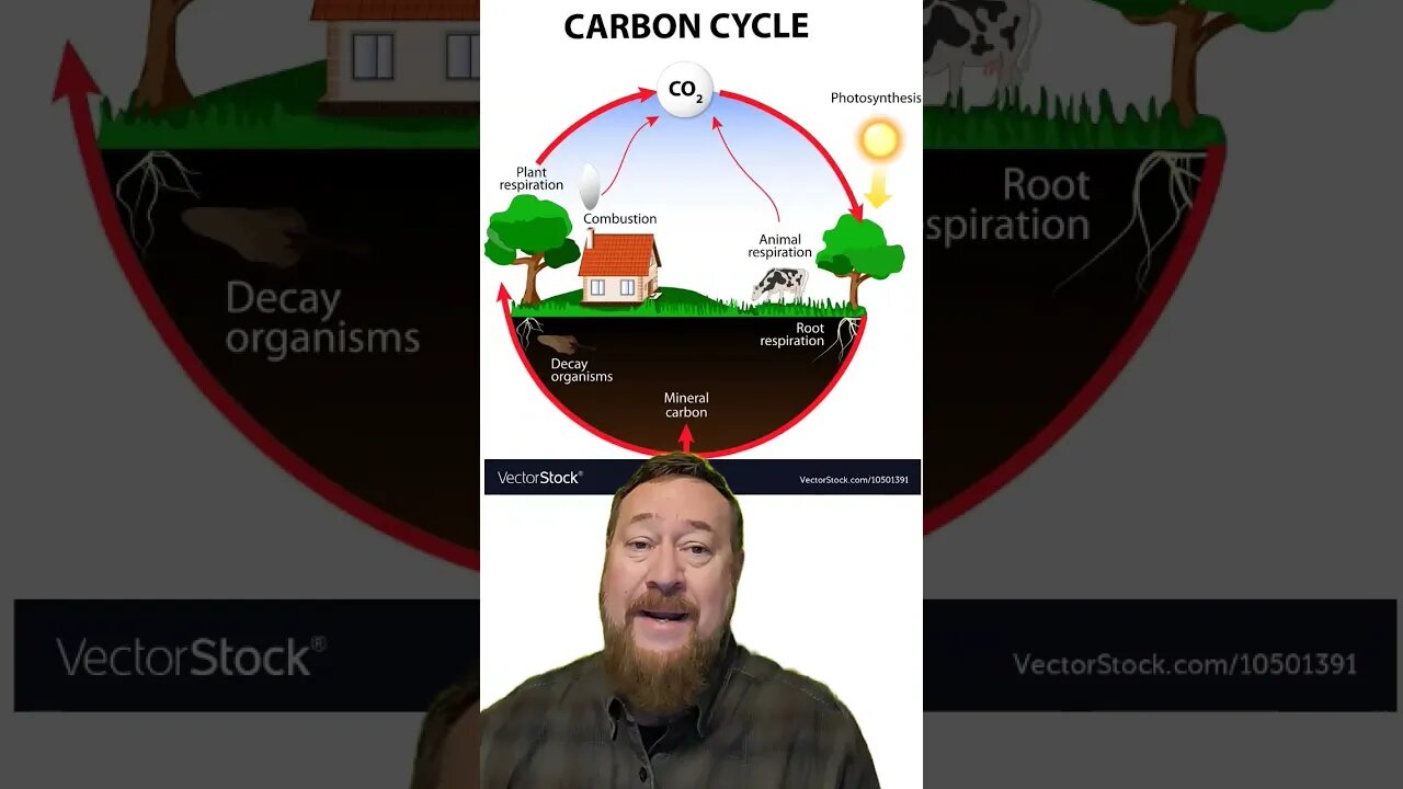 Improve Plant Harvests with Carbon Sequestration