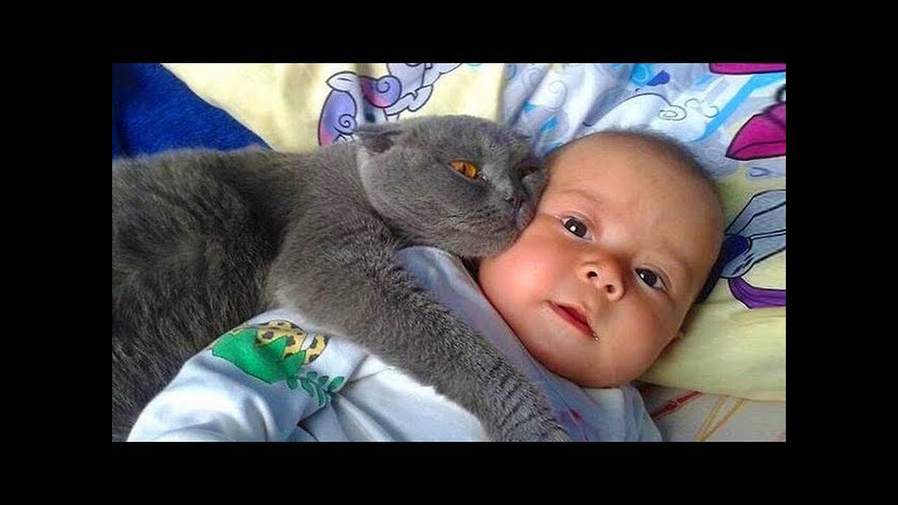 Funny videos | Funny memes 🤣 |Funny comedy 😃 |Funny animals 🤣 Fun 😁 Don't Try Laughing 😄