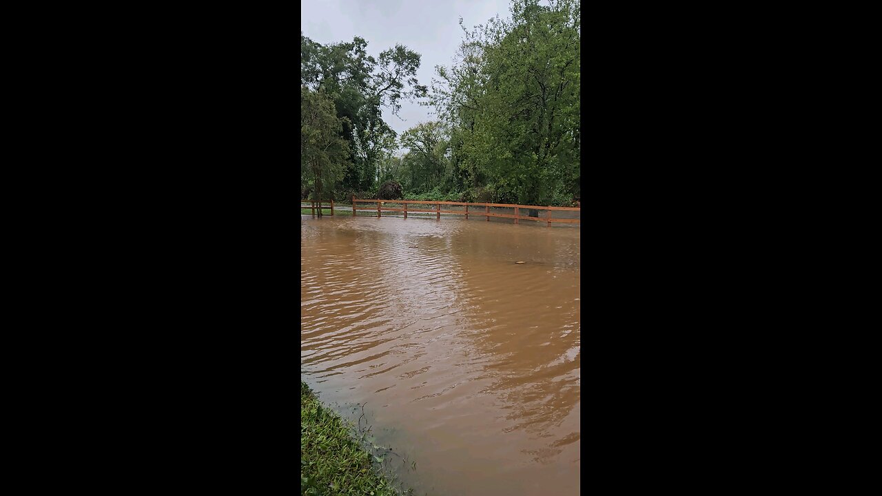 Hurricane Helene Damage in Greenville South Carolina