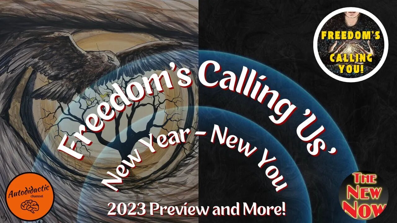 New Year, New You, What Are You Going To Do? - Freedom is Calling You