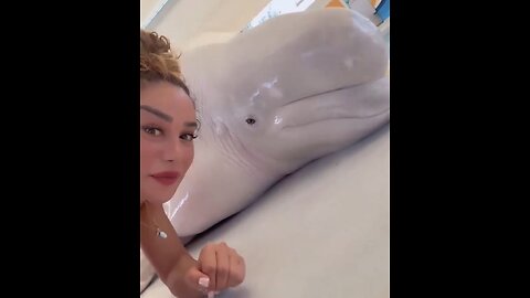 THE GIRL WHO WHISPERS💁‍♀️🐳🧏‍♀️🩵TO BELUGA WHALES👱‍♀️🐋💫