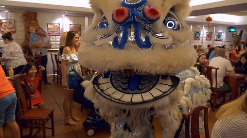 Lion Dance CNY Good Fortune Roast Duck Northbridge Perth Chinese New Year Australia