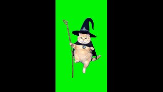 Wizard Cat Floating | Green Screen