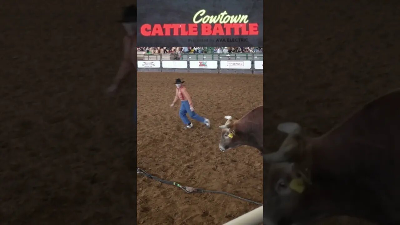 The Thrill Of Bull Riding Bumps and Bruises #youthbullriding #bull#smalltownamerica