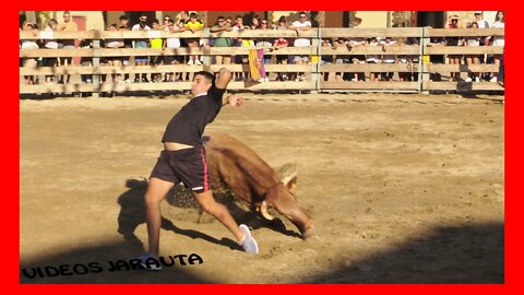 FONTELLAS ( NAVARRA ) TARDE VACAS PLAZA ( DOMINGO 4 SEPTIEMBRE 2022 ) ARRIAZU