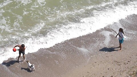 Dog training in beach