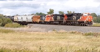 Canadian National South Bound Through Marsh, WI