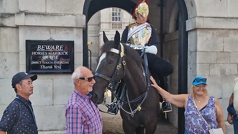 Horse wants you're phone 📱 #horseguardsparade