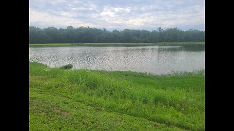 Pond