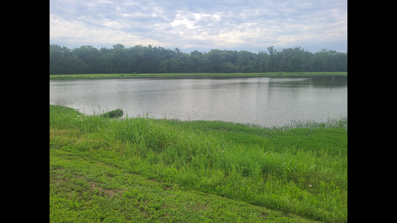 Pond