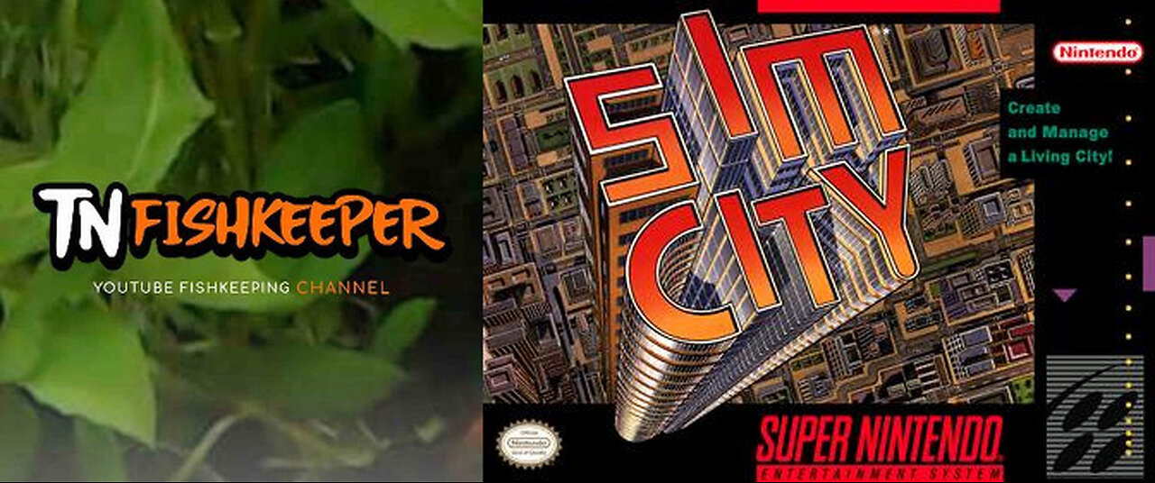 TNFISHKEEPER.COM™ 🐠 SIM CITY PT 9 (SNES) #GAMES #SIMCITY #TNFISHKEEPER