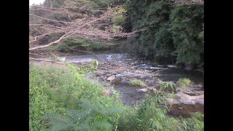 Bicycle Ride in Western Japan