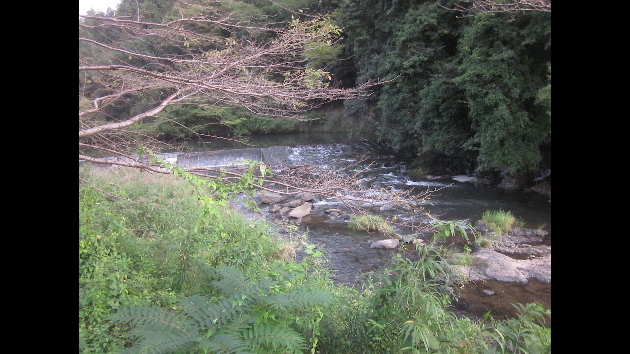 Bicycle Ride in Western Japan