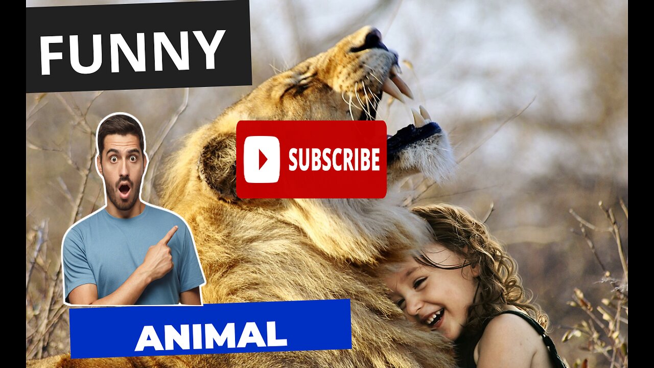 Funny video animal