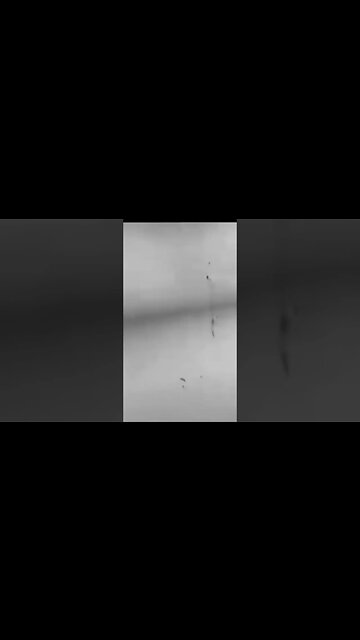 Do you think this is real? Put in comments