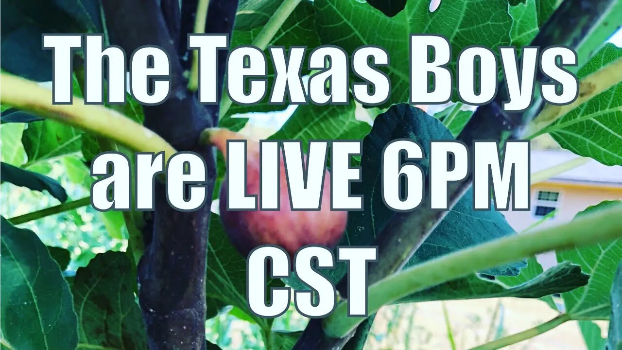 The Texas Boys LIVE 6PM CST