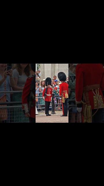 Shuffel back Welsh guards #buckinghampalace