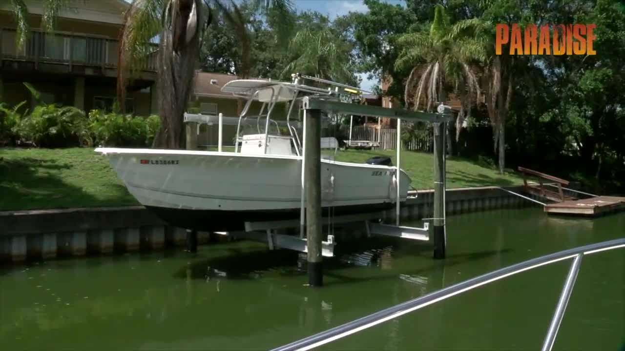 MORNING RUSH: Blue-green algae coming back to SWFL