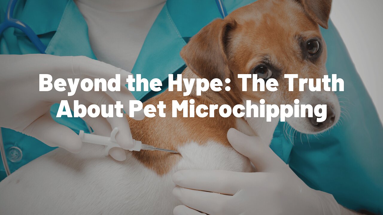 Beyond the Hype: The Truth About Pet Microchipping 🐾