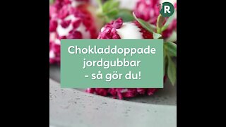 Chokladdoppade jordgubbar (2)