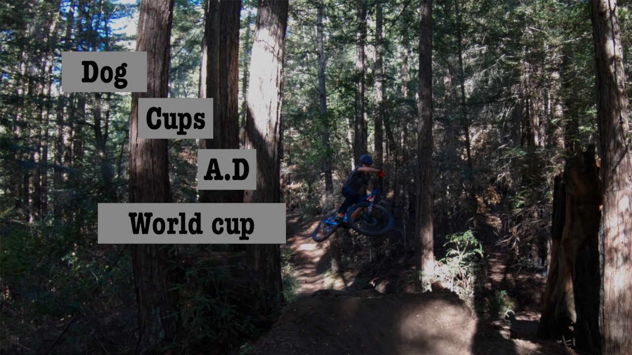 Sending Barking Dog Cups Acid Drop and World Cup