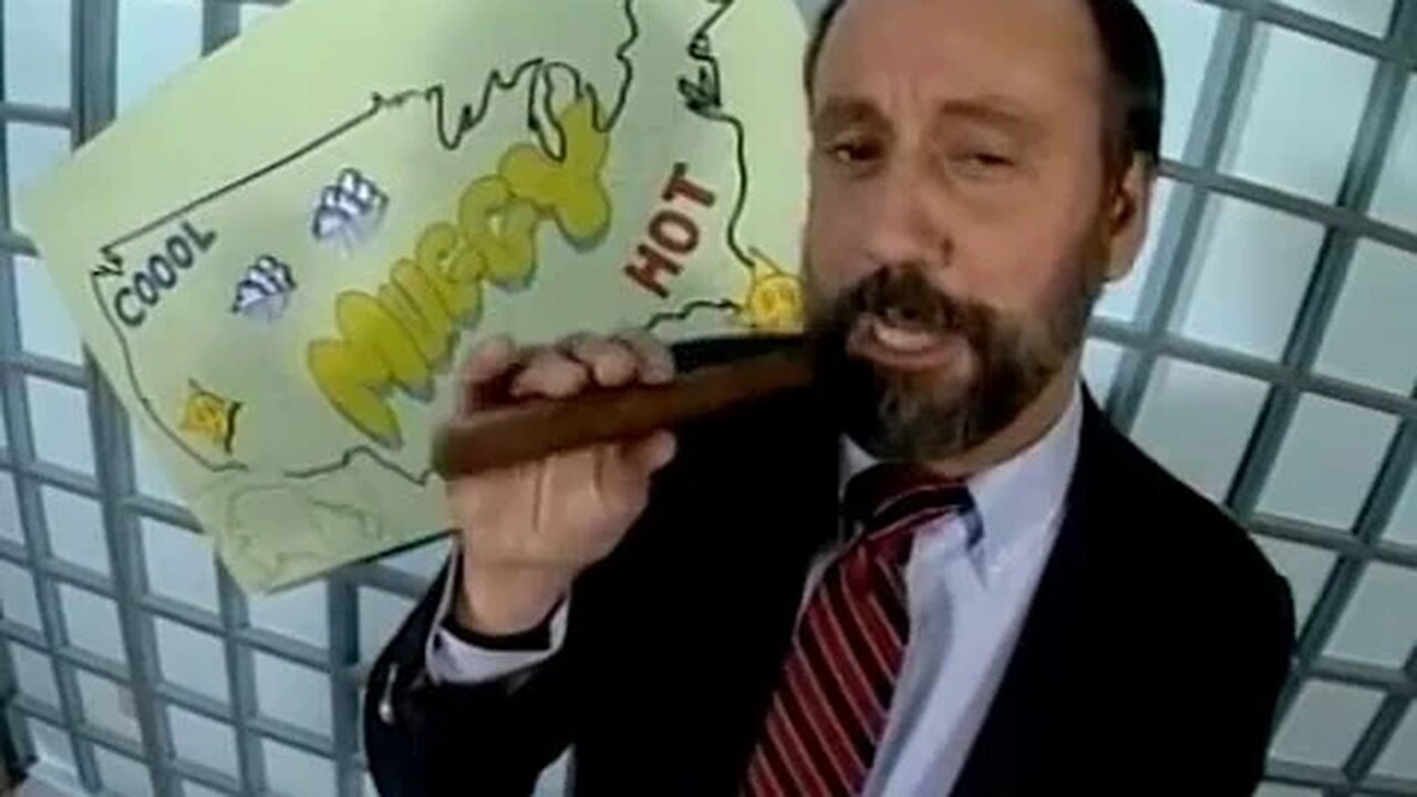 Ray Stevens - Weatherman Muggy (Amazing Rolling Revue)