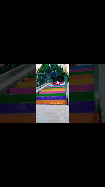 Walking My Human 🦆🌈