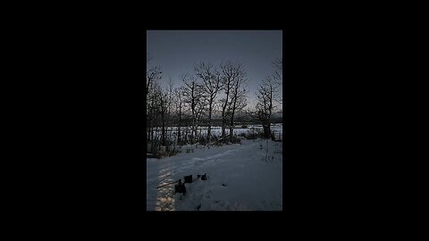 Colorado Elk, Mule Deer Hunt