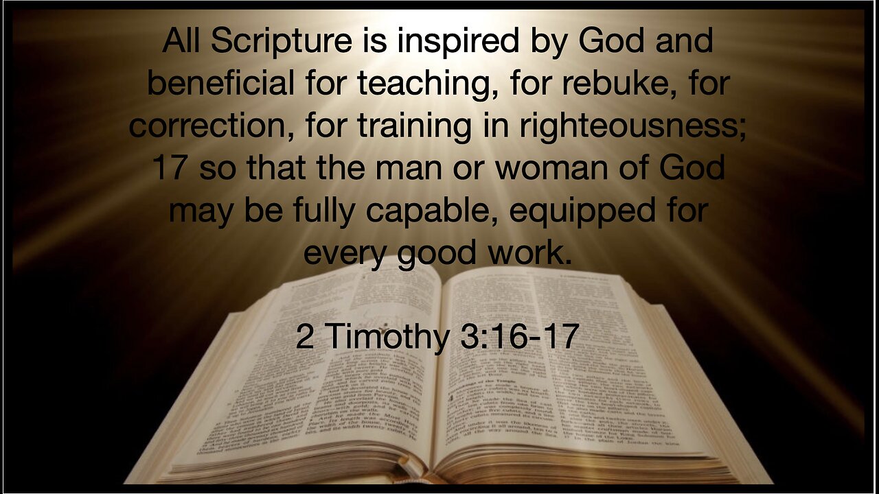 Live OUt Loud Ladies Bible Study-November 14, 2024