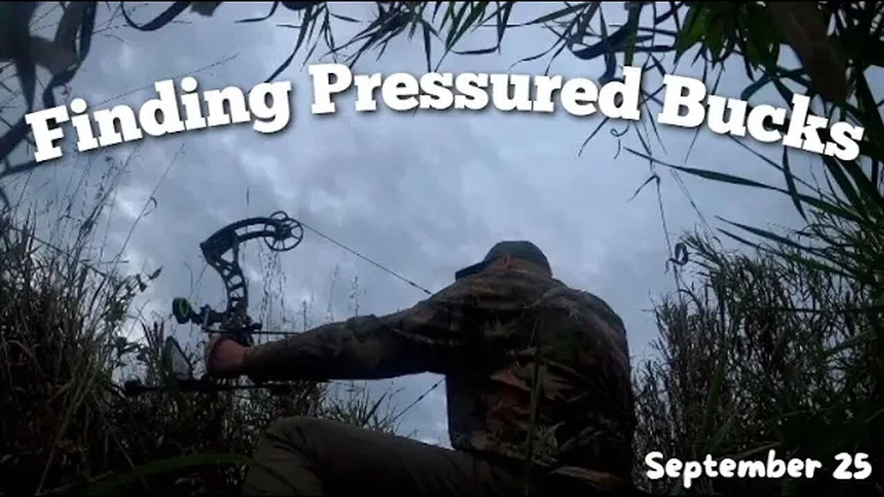 Finding Bucks on Wisconsin Public Land! Using Hunting Pressure to Locate Bucks on Public Land!