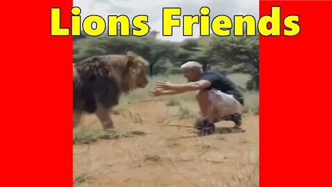 Lions Friends