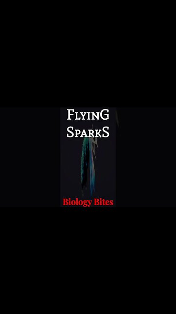 Flying Sparks - Biology Bites 001 - Larian Biochemistry #shorts