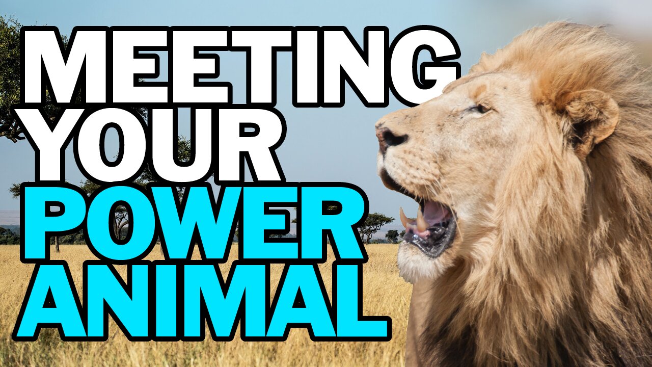 Meeting Your Power Animal