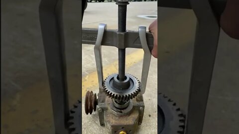 Amazing Videos for entertainment(1)