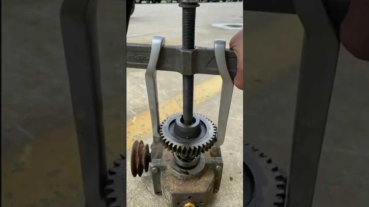 Amazing Videos for entertainment(1)