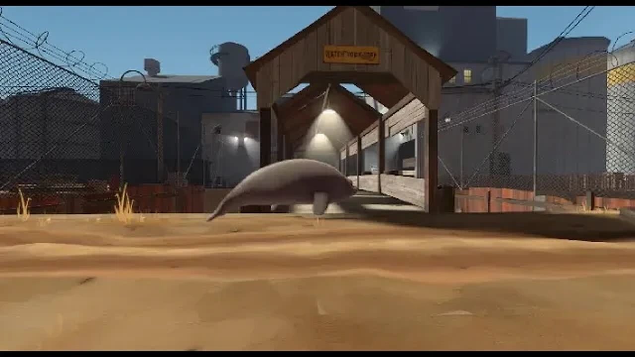 very cute seal flopping warning jumpscare at the end