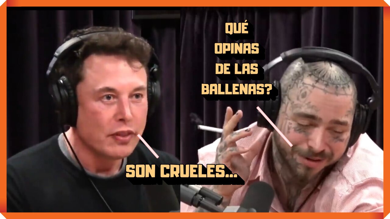 ENCUENTRO DE ELON MUSK Y POST MALONE l SUBTITULADO