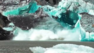 RANDOM SCARY NATURE COMPILATION #006