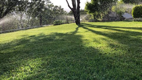 Garden in Kurdistan region iraq